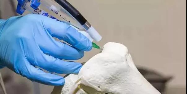 1514273891102970.jpg 4.jpg